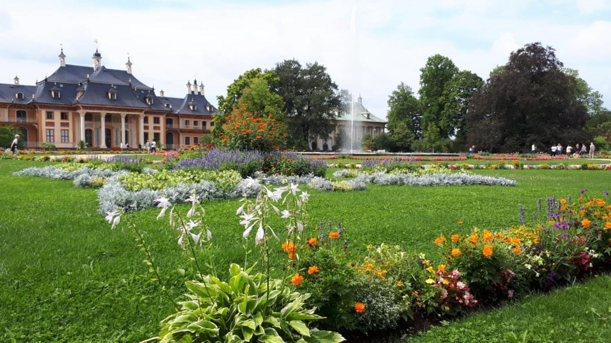 Ferienwohung In Dresden Am Elbhang エクステリア 写真